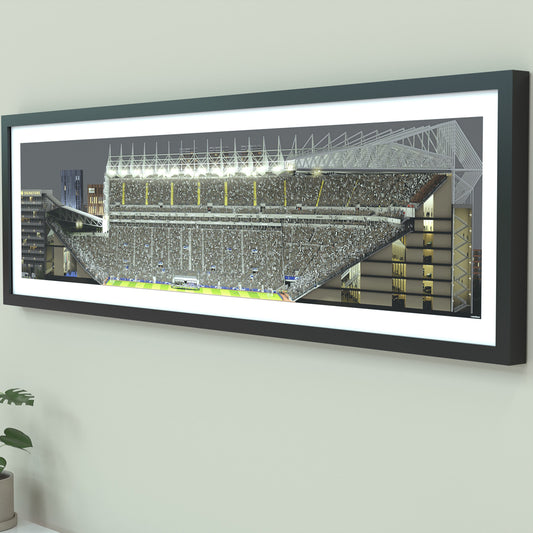 St James’ Park Stadium Panoramic Illustration Print